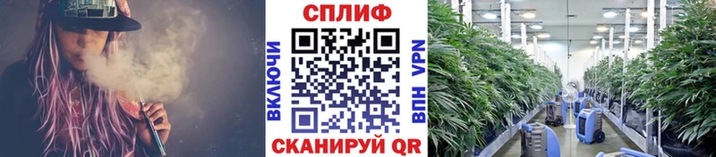 Купить где  Кириллов  Каннабис MAZAR 